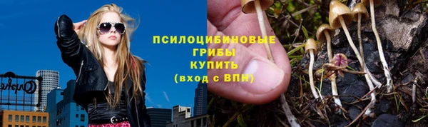 СК Алзамай