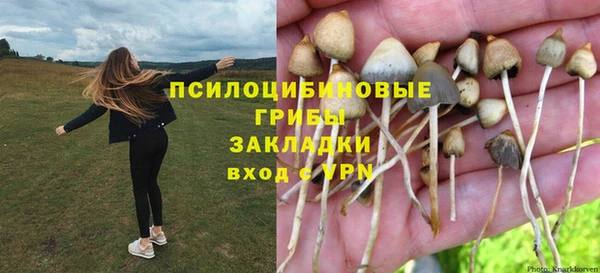 марки lsd Алексеевка