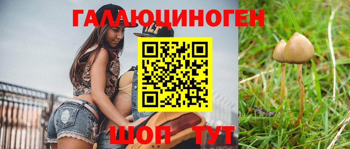 Псилоцибиновые грибы мицелий  Псилоцибиновые грибы прущие грибы  Керчь  дарнет шоп  Вход с VPN 